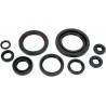 MOOSE RACING HARD PARTS Retenes de Motor Honda TRX 450R (06-09) MOOSE RACING Retenes Motor