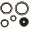 MOOSE RACING HARD PARTS Retenes de Motor Husqvarna/KTM 250/300 MOOSE RACING Retenes Motor