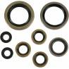 MOOSE RACING HARD PARTS Retenes de Motor KTM 450/525 MOOSE RACING Retenes Motor