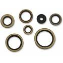 MOOSE RACING HARD PARTS Retenes de Motor KTM/Husqvarna 250/300 MOOSE RACING Retenes Motor