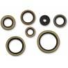 MOOSE RACING HARD PARTS Retenes de Motor KTM/Husqvarna 250/300 MOOSE RACING Retenes Motor