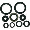 MOOSE RACING HARD PARTS Retenes de Motor Kawasaki KX 250F (06-16) MOOSE RACING Retenes Motor