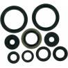 MOOSE RACING HARD PARTS Retenes de Motor Kawasaki KX 250F (06-16) MOOSE RACING Retenes Motor