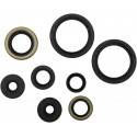 MOOSE RACING HARD PARTS Retenes de Motor Kawasaki KX 250F (17-20) MOOSE RACING Retenes Motor
