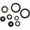 MOOSE RACING HARD PARTS Retenes de Motor Kawasaki KX 250F (17-20) MOOSE RACING Retenes Motor