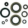 MOOSE RACING HARD PARTS Retenes de Motor Kawasaki KX 500 MOOSE RACING Retenes Motor