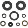 MOOSE RACING HARD PARTS Retenes de Motor Kawasaki KX 80/85/100 MOOSE RACING Retenes Motor