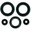 MOOSE RACING HARD PARTS Retenes de Motor Polaris Scrambler 400 (95-02) MOOSE RACING Retenes Motor