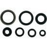 MOOSE RACING HARD PARTS Retenes de Motor Suzuki RM 125 (92-97) MOOSE RACING Retenes Motor
