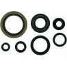 MOOSE RACING HARD PARTS Retenes de Motor Suzuki RM 250 (89-93) MOOSE RACING Retenes Motor