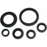MOOSE RACING HARD PARTS Retenes de Motor Yamaha Raptor 700 MOOSE RACING Retenes Motor