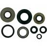 MOOSE RACING HARD PARTS Retenes de Motor Yamaha Warrior 350 / YFM 350R MOOSE RACING Retenes Motor