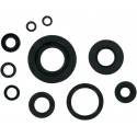 MOOSE RACING HARD PARTS Retenes de Motor Yamaha YZ 250 MOOSE RACING Retenes Motor