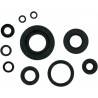 MOOSE RACING HARD PARTS Retenes de Motor Yamaha YZ 250 MOOSE RACING Retenes Motor