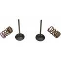 PROX Kit Válvulas de Admisión + Muelles PROX Kawasaki KX 250F (09-10) Válvulas