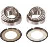 PIVOT WORKS Kit Pistas de Dirección Honda CR 500R (90-01) XR 650R PIVOT WORKS Dirección