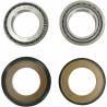 PIVOT WORKS Kit Pistas de Dirección Honda CRF 250R (10-14) CRF 450R (09-12) PIVOT WORKS Dirección