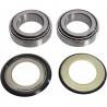 PIVOT WORKS Kit Pistas de Dirección Honda CRF 250R (14-16) CRF 450R (13-16) PIVOT WORKS Dirección