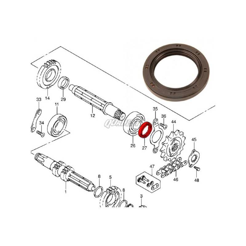KAWASAKI Reten Piñón Salida Original Suzuki LTZ 400 / Kawasaki KFX 400 Suzuki LTZ 400