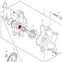 KAWASAKI Retén Bomba Agua Original Suzuki LTZ 400 / Kawasaki KFX 400 (05-09) Suzuki LTZ 400