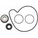 HOT RODS Kit Reparación Bomba de Agua Polaris RZR 900 / 900 S / 1000 XP HOT RODS Bomba Agua