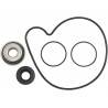 HOT RODS Kit Reparación Bomba de Agua Polaris RZR 900 / 900 S / 1000 XP HOT RODS Bomba Agua