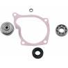 HOT RODS Kit Reparación Bomba de Agua Polaris Scrambler 500 Sportsman 450/500/1000 … HOT RODS Bomba Agua