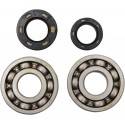 HOT RODS Rodamientos Cigüeñal HOT RODS Honda CR 80R (85-95) CR 85R (03-07) Rodamientos Motor