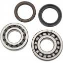 HOT RODS Rodamientos Cigüeñal HOT RODS Honda CRF 450R (06-14) Rodamientos Motor