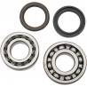 HOT RODS Rodamientos Cigüeñal HOT RODS Honda CRF 450R (06-14) Rodamientos Motor