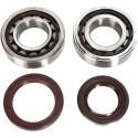 HOT RODS Rodamientos Cigüeñal HOT RODS KTM EXC-F 350 (13-14) SX-F 250/350 (13-14) Rodamientos Motor