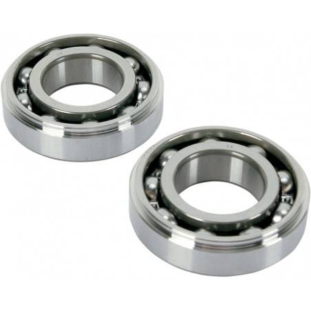HOT RODS Rodamientos Cigüeñal HOT RODS Suzuki RMZ 250 (07-09) Rodamientos Motor