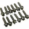 MOOSE UTILITY DIVISION Tornillo Hielo y Nieve 25mm Rosca (250 Unidades) Aventura