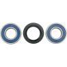 ALL BALLS Kit Reparación Rueda Delantera Suzuki DR 650 (06-07) DRZ 250 (01-07) Rueda