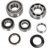 HOT RODS Kit Rodamientos del Cambio Honda TRX 450 R/ER HOT RODS Rodamientos Motor