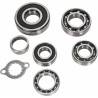 HOT RODS Kit Rodamientos del Cambio Suzuki LTR 450 HOT RODS Rodamientos Motor