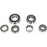 HOT RODS Kit Rodamientos del Cambio Yamaha YFZ 450 R HOT RODS Rodamientos Motor