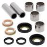 ALL BALLS Kit Reparación Basculante Can Am DS 450 Basculante