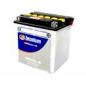 TECNIUM Batería TECNIUM YB30L-B Baterías