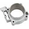 CYLINDER WORKS Cilindro WORKS Honda CRF 450R/RX (17-19) Tipo original Cilindros