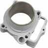 CYLINDER WORKS Cilindro WORKS KTM SX-F 250 (16-21) Husqvarna FC 250 (16-21) Tipo original Cilindros