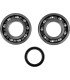 ALL BALLS Kit Rodamientos Cigueñal Kawasaki KX 250F (04-20) Suzuki RMZ 250 (04-06) Rodamientos Motor