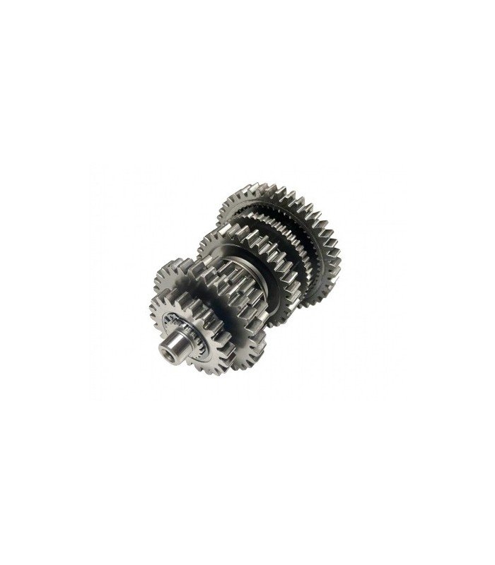 CF MOTO Conjunto Completo Transmisión Oem CF Moto Buggy 800 Transmisión y Diferencial