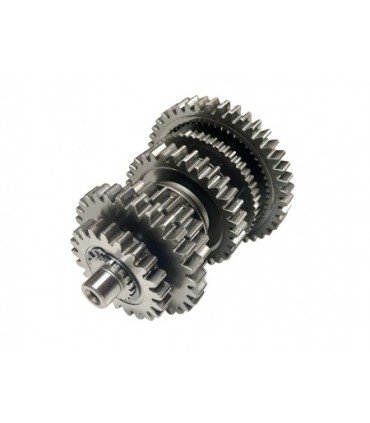 CF MOTO Conjunto Completo Transmisión Oem CF Moto Buggy 800 Transmisión y Diferencial