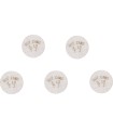 HOT CAMS Pastillas de Reglaje 9.48 x 3.10 (5 Unidades) Pastillas Reglaje