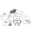 VERTEX Kit Reconstrucción Motor VERTEX Polaris RZR 800 Motor Buggy